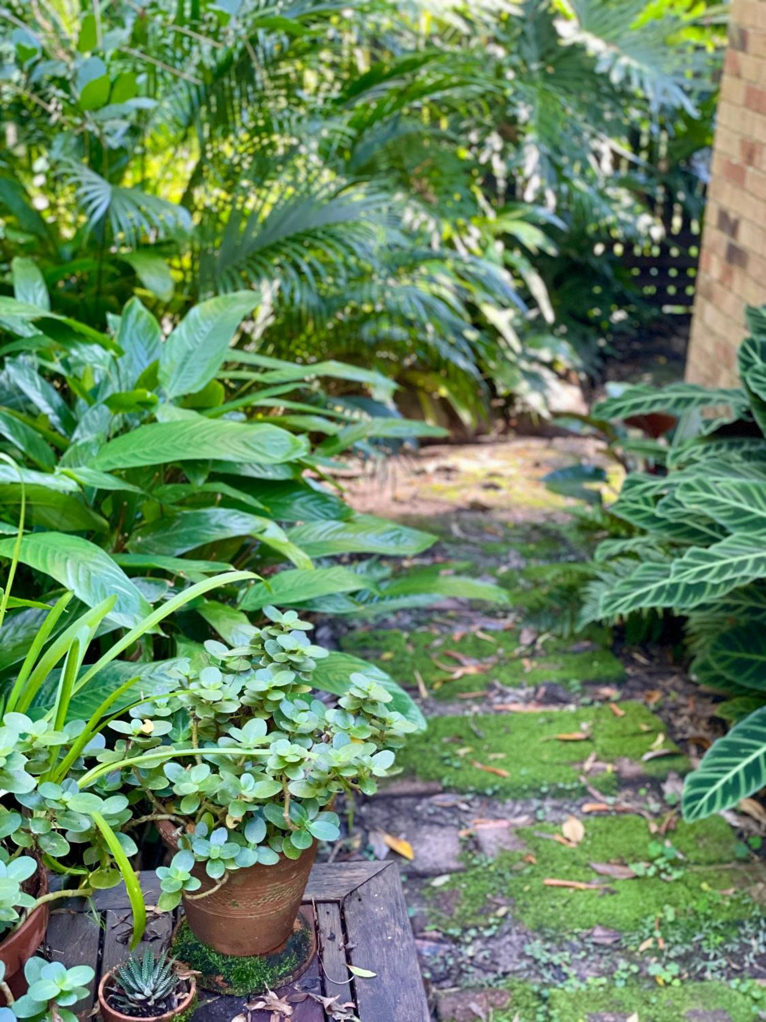 Lilli Pilli Guesthouse Byron Bay Exterior foto